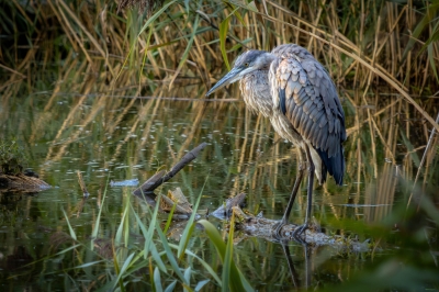 untitled-1-JPG-Default-Sequence-2