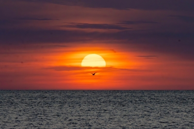 IMG_7937-Enhanced-NR