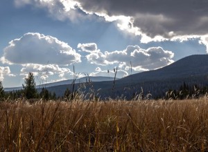 West End Meadow