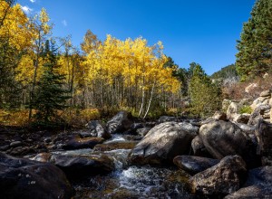 Middle Saint Vrain Aspens 2