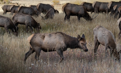 IMG_6151-Enhanced-NR