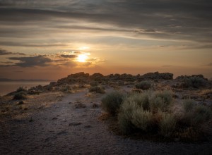 IMG_8118