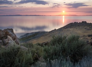 IMG_8134