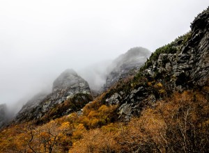 Foggy Mountains