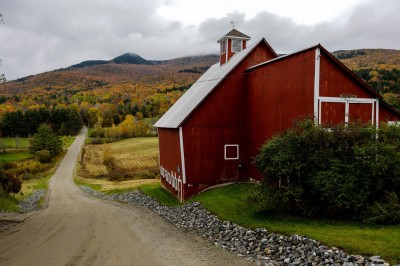 IMG_1832-Enhanced-NR