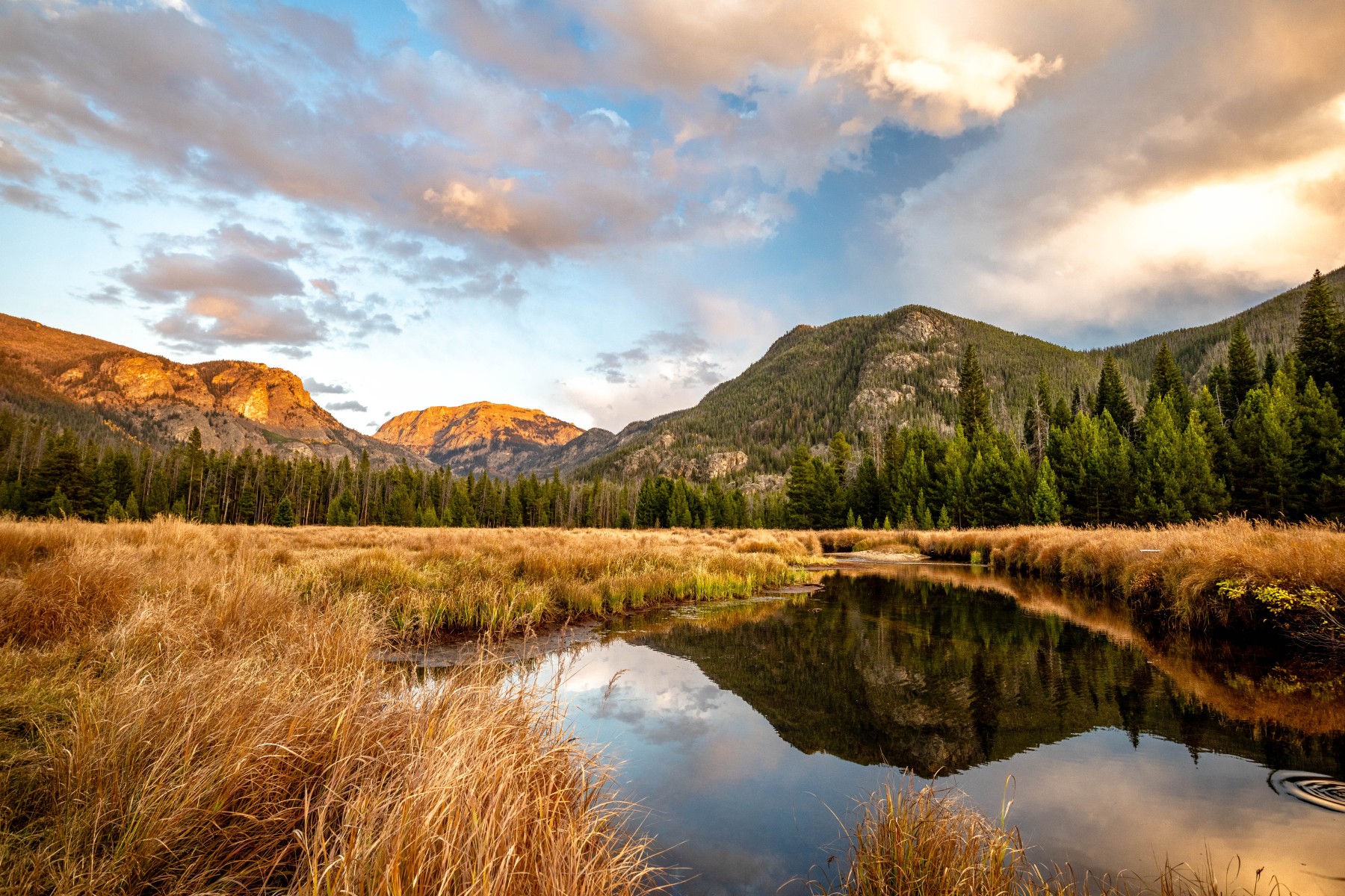 Download a Site Map and Planner for Rocky Mountain National Park