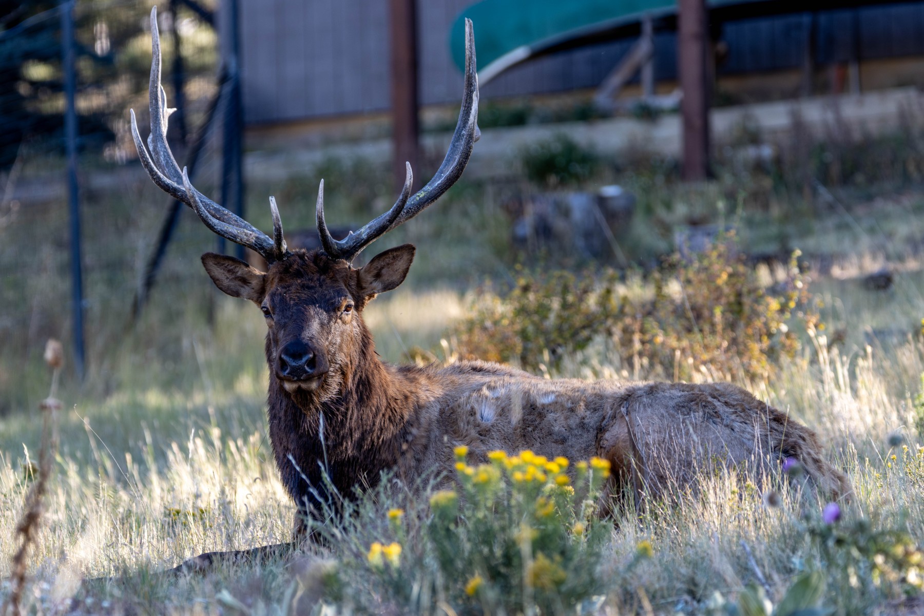 Rocky Mountain National Park – Travel Info