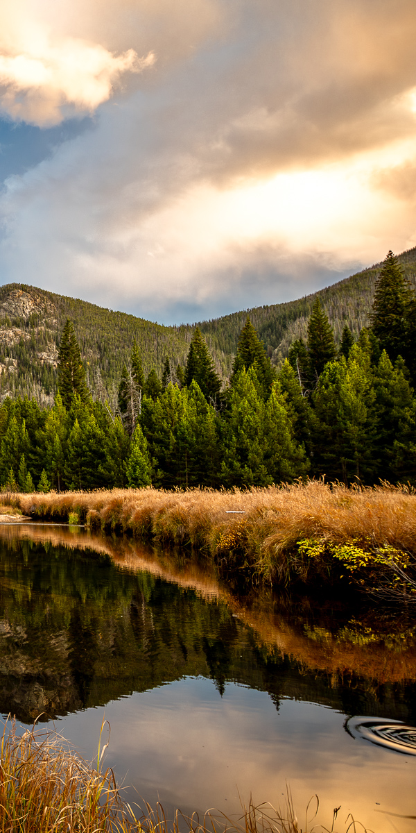 East Meadow Sunset - Rocky Mountain National Park (Right)