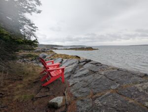 Rainy Day in Acadia: Bar Harbor & Seal Watching (Day 7)