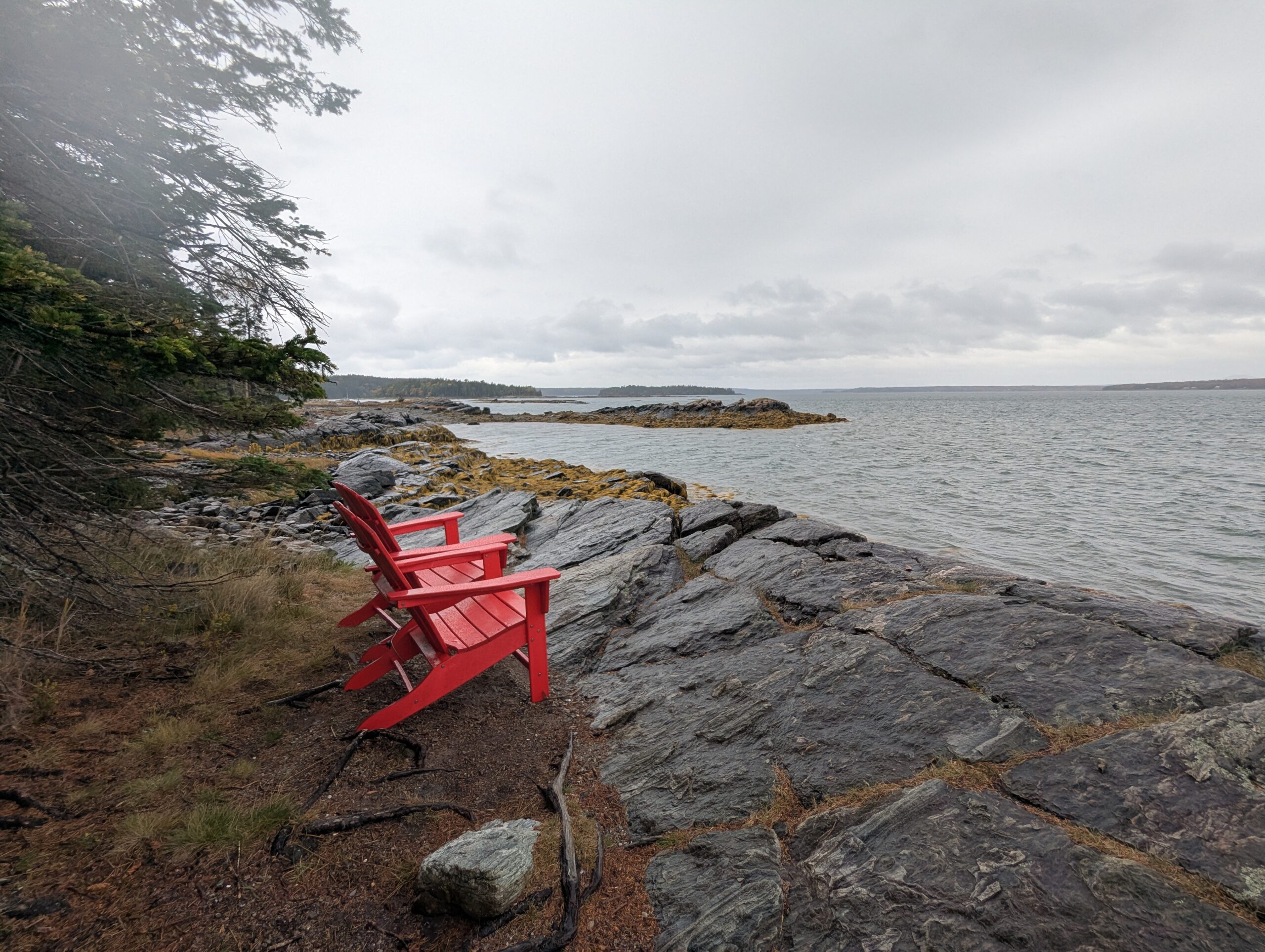Rainy Day in Acadia: Bar Harbor & Seal Watching (Day 7)