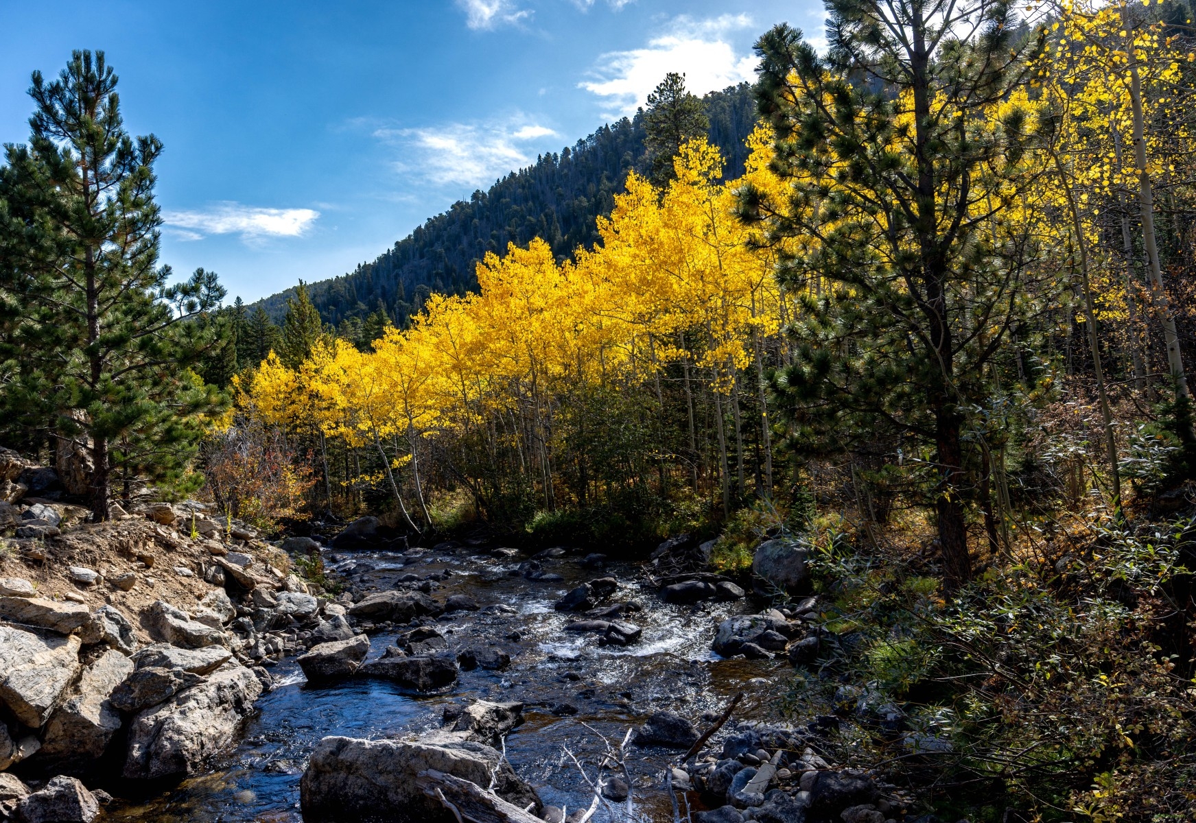 Scenic Colorado Drive Outside Rocky Mountain National Park