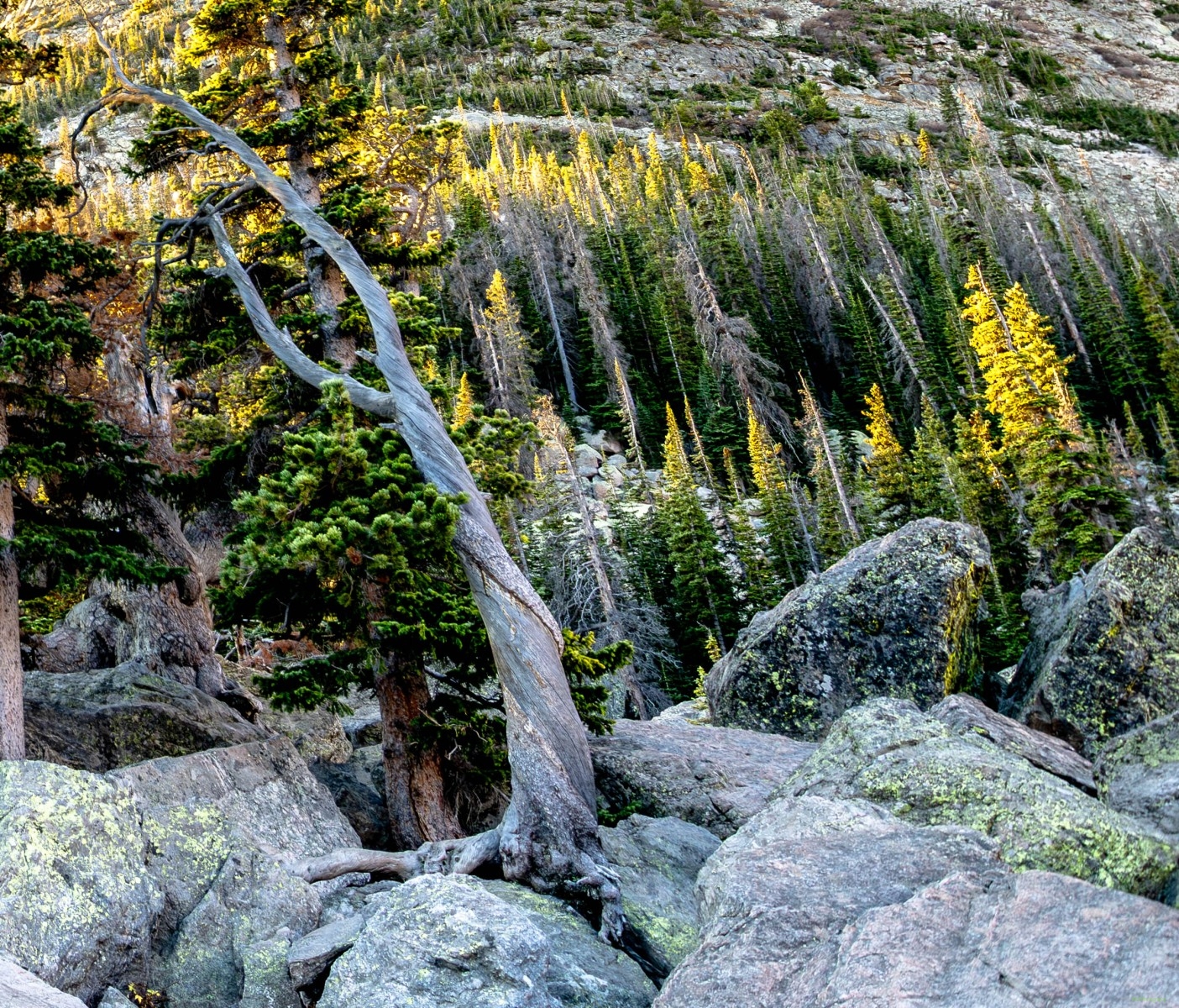 Hike to Lake Haiyaha and Dream Lake in Rocky Mountain National Park
