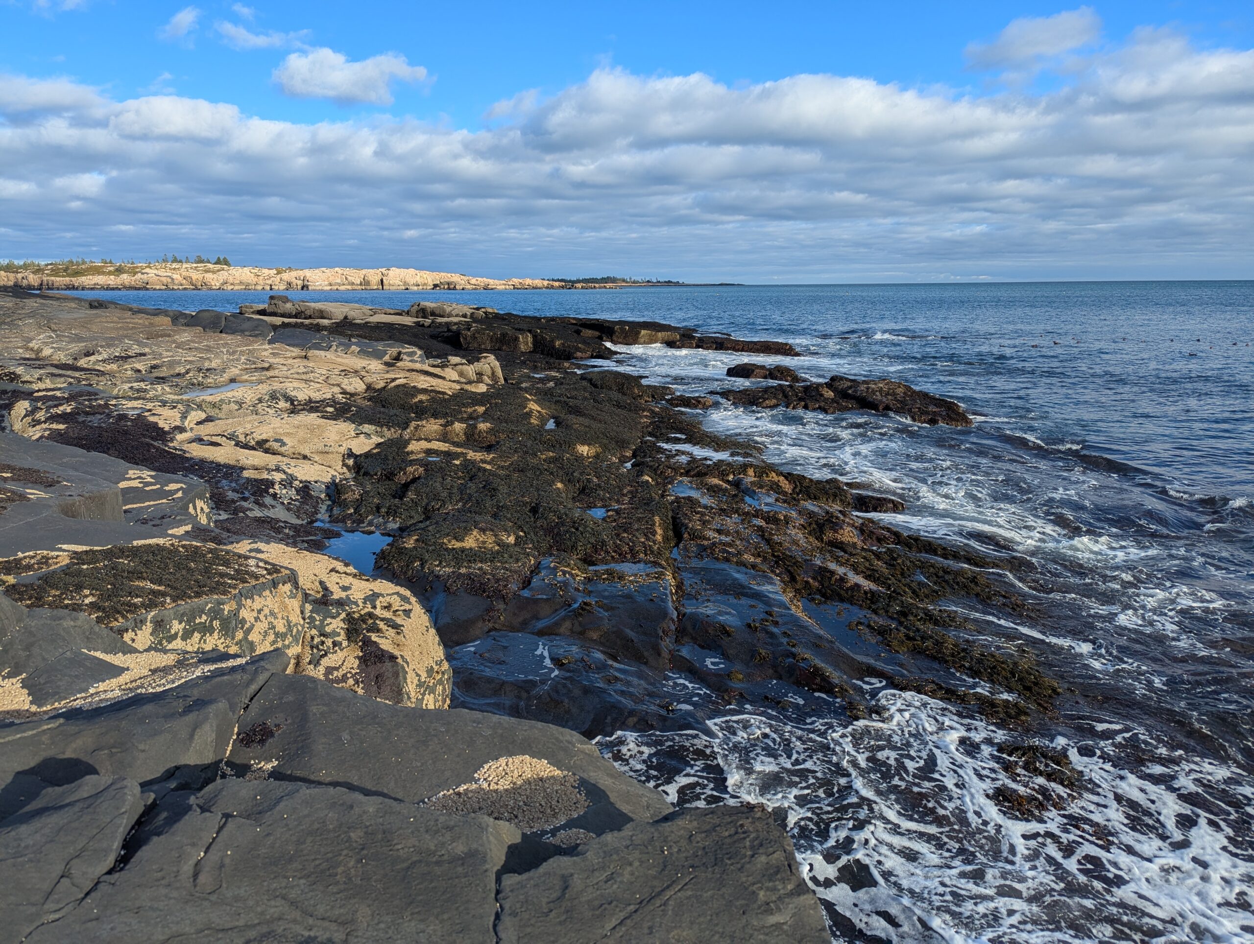 Schoodic Peninsula: Acadia Day 8, Part 2: